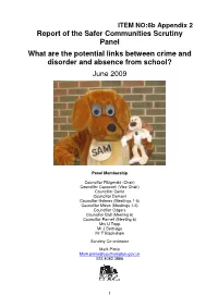 Report of the Safer Communities Scrutiny Panel What Are The