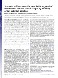 Serotonin Spillover Onto the Axon Initial Segment of Motoneurons Induces Central Fatigue by Inhibiting Action Potential Initiation