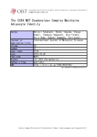 The CCR4–NOT Deadenylase Complex Maintains Adipocyte Identity