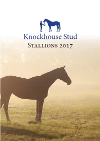 A Potential Top Class NH Sire