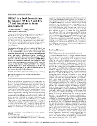 KDM7 Is a Dual Demethylase for Histone H3 Lys 9 and Lys 27 and Functions in Brain Development