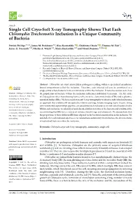 Single Cell Cryo-Soft X-Ray Tomography Shows That Each Chlamydia Trachomatis Inclusion Is a Unique Community of Bacteria