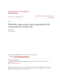 Metabolic Engineering of Microorganisms for the Overproduction of Fatty Acids Ting Wei Tee Iowa State University