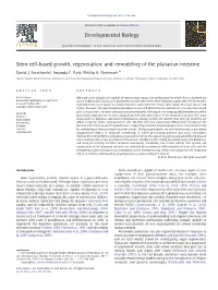 Stem Cell-Based Growth, Regeneration, and Remodeling of the Planarian Intestine