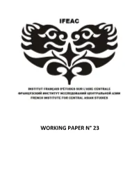 Working Paper N° 23