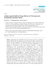 Anthocyanins Profile of Grape Berries of Vitis Amurensis, Its Hybrids and Their Wines