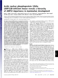 B-Deficient Mouse Reveals a Hierarchy of ANP32 Importance In