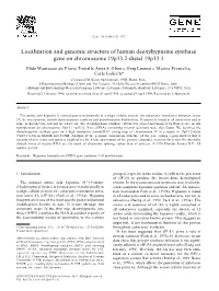 Localization and Genomic Structure of Human Deoxyhypusine Synthase Gene on Chromosome 19P13.2-Distal 19P13.1