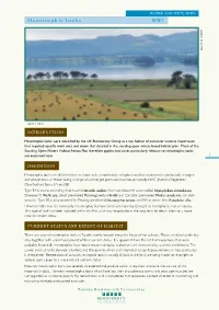 Mesotrophic Lochs WW1
