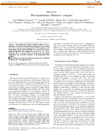 The Mammalian Mediator Complex