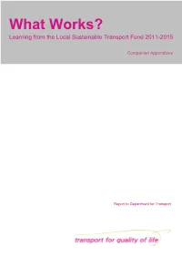 What Works Companion Appendices