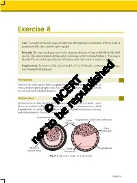 Exercise 8 & 9