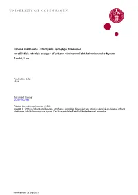 University of Copenhagen