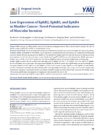Low Expression of Ephb2, Ephb3, and Ephb4 in Bladder Cancer: Novel Potential Indicators of Muscular Invasion