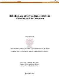 Representations of Youth Revolt in Cameroon