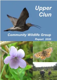 2020 UCCWG Report