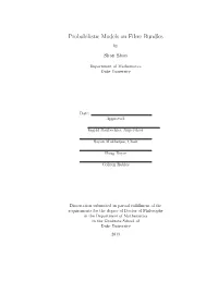 Probabilistic Models on Fibre Bundles by Shan Shan