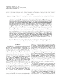 Shape Matters: Hofmeister's Rule, Primordium Shape, and Flower Orientation