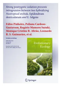 Strong Postzygotic Isolation Prevents Introgression Between Two Hybridizing Neotropical Orchids, Epidendrum Denticulatum and E