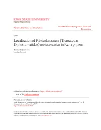 Localization of Fibricola Cratera (Trematoda: Diplostomatidae) Metacercariae in Rana Pipiens Thomas Wayne Cook Iowa State University