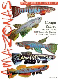 APHYOSEMION APHYOSEMION Etheostoma Caeruleumetheostoma in the CONGO BASIN BASIN CONGO the in : a Dwarf Among the L-Number Catﬁshes