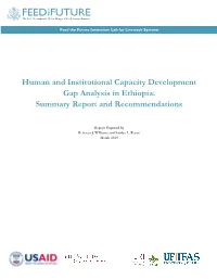 Human and Institutional Capacity Development Gap Analysis in Ethiopia: Summary Report and Recommendations