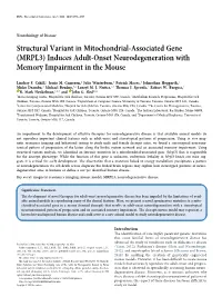 Induces Adult-Onset Neurodegeneration with Memory Impairment in the Mouse