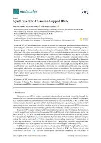 Synthesis of 5-Thiamine-Capped