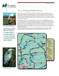 Birding and Wildlife Viewing