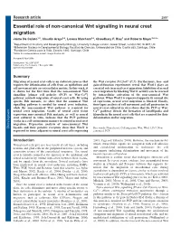 Essential Role of Non-Canonical Wnt Signalling in Neural Crest Migration Jaime De Calisto1,2, Claudio Araya1,2, Lorena Marchant1,2, Chaudhary F