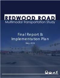 Final Report & Implementation Plan