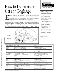 How to Determine a Cat's Or Dog's