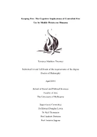 Keeping Fire: the Cognitive Implications of Controlled Fire Use by Middle Pleistocene Humans