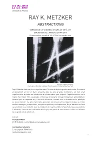 Ray K. Metzker Abstractions