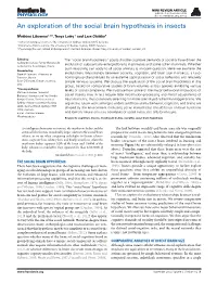 An Exploration of the Social Brain Hypothesis in Insects