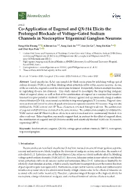 Co-Application of Eugenol and QX-314 Elicits the Prolonged Blockade of Voltage-Gated Sodium Channels in Nociceptive Trigeminal Ganglion Neurons