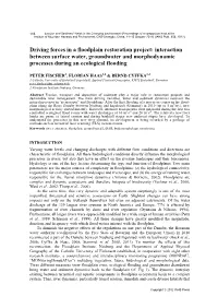 Driving Forces in a Floodplain Restoration Project: Interaction Between Surface Water, Groundwater and Morphodynamic Processes During an Ecological Flooding