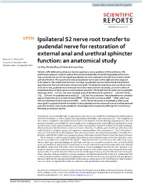Ipsilateral S2 Nerve Root Transfer to Pudendal Nerve for Restoration Of