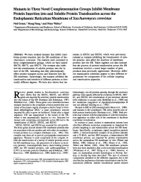 Mutants in Three Novel Complementation Groups Inhibit