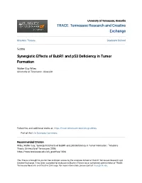 Synergistic Effects of Bubr1 and P53 Deficiency in Tumor Formation