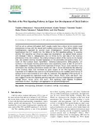 The Role of the Wnt Signaling Pathway in Upper Jaw Development of Chick Embryo