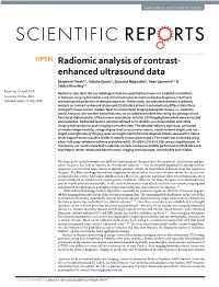 Radiomic Analysis of Contrast-Enhanced Ultrasound Data