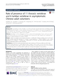Rate of Presence of 11 Thoracic Vertebrae and 6 Lumbar Vertebrae In