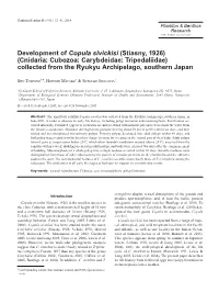 Development of Copula Sivickisi (Stiasny, 1926) (Cnidaria: Cubozoa: Carybdeidae: Tripedaliidae) Collected from the Ryukyu Archipelago, Southern Japan