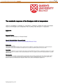 The Metabolic Response of the Bradypus Sloth to Temperature