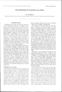 Adec Preview Generated PDF File