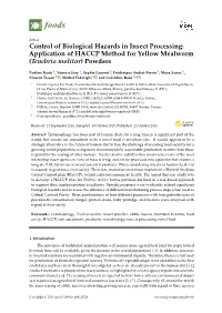 Control of Biological Hazards in Insect Processing: Application of HACCP Method for Yellow Mealworm (Tenebrio Molitor) Powders