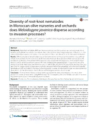 Diversity of Root-Knot Nematodes in Moroccan Olive Nurseries And