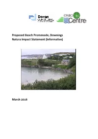 Proposed Beach Promenade, Downings Natura Impact Statement (Informative)