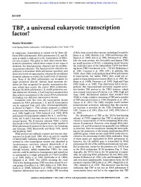 TBP, a Universal Eukaryotic Transcription Factor?